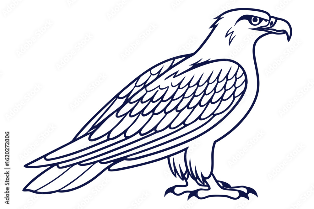 Fototapeta premium Realistic osprey perched on branch on clean white background vector