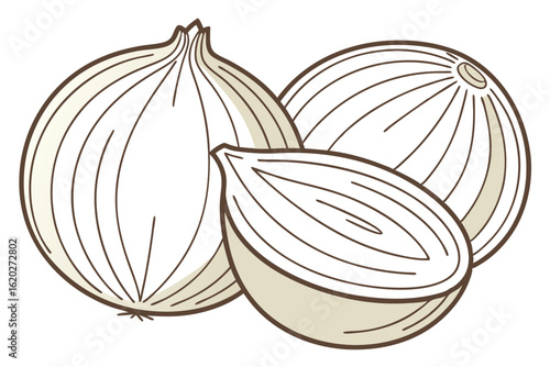 Organic onion image on white background for grocery and recipe visuals