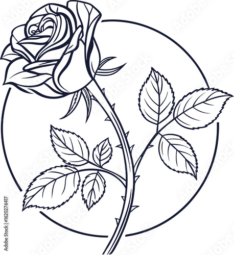  a rose flower illustration with leaves 