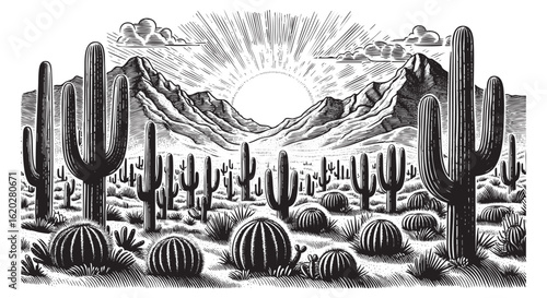 Cactus on desert sketch engraving black and white outline. Scratch board imitation.  illustrated in vintage line art style on a white background.