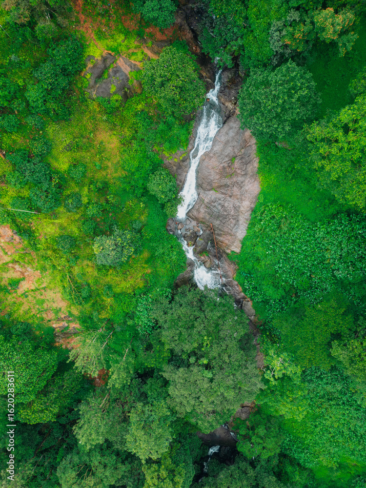 Obraz premium Beautiful Landscapes of Munnar with Tea Plantations – Aerial and Ground View