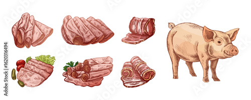 Hand drawn vintage sketch of pig and ham slices in warm color engraving style, isolated vector illustration