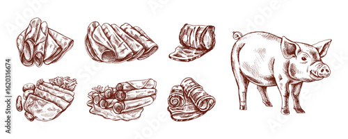 Hand drawn vintage sketch of pig and ham slices in monochrome brown engraving style, isolated vector illustration