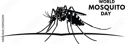 Vector art of world mosquito day illustration featuring a mosquito, raising awareness about diseases transmitted by mosquitoes and the importance of prevention 