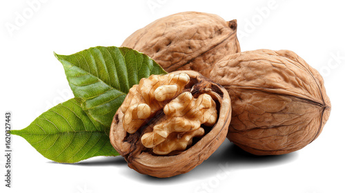 walnuts with leaves on white background