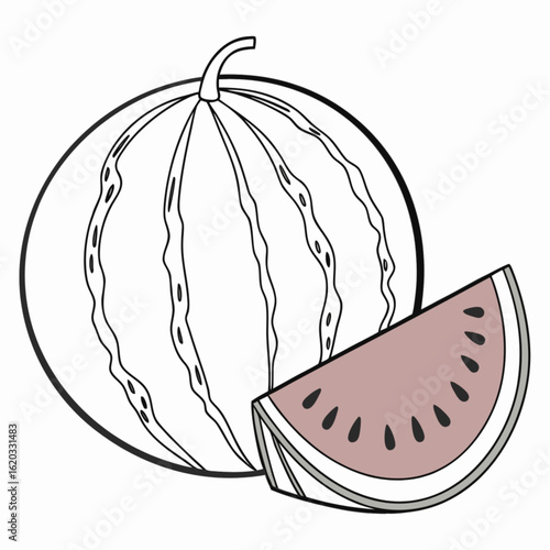 Sweet red watermelon slice vector illustration, isolated ripe fruit dessert drawing