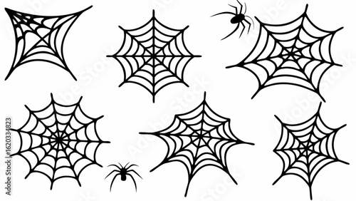 Illustration of several spiderwebs in different shapes and sizes with two spiders on a white background