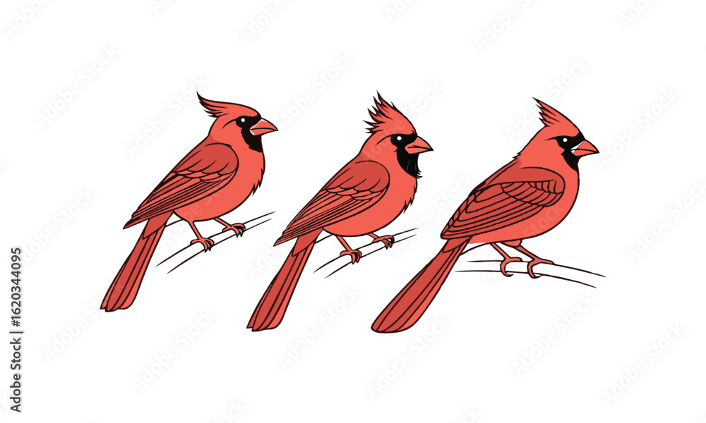 Obraz premium WebColorful Stylized Blue and Yellow Raven Vector Illustration.Set of Colorful Cartoon Birds in Various Shades – Vector Illustration