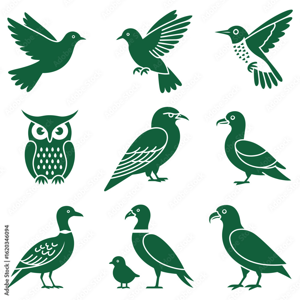 Obraz premium A cute collection of cartoon vector birds and funny animals illustration with colorful feather, beak, and wing design