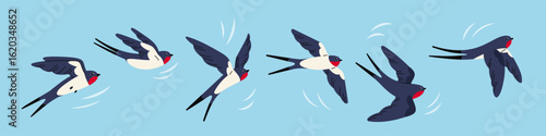 Swallow flying animation. Frame by frame movement of wings, little bird in sky moving, flapping sequences, air flow, speed lines, cartoon isolated mascot illustration, garish vector set