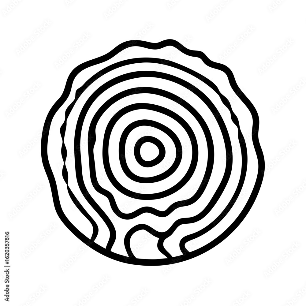 Isolated tree trunk cross section exhibiting concentric annual growth rings Isolated tree trunk cross section exhibiting concentric annual growth rings