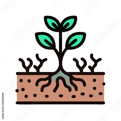 Vibrant seedling emerges from fertile soil showcasing the plant's root system