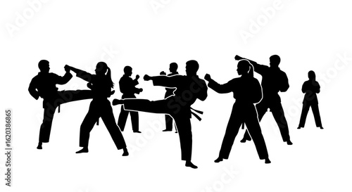 Dedicated Martial Arts Athletes Exercising Taekwondo Training