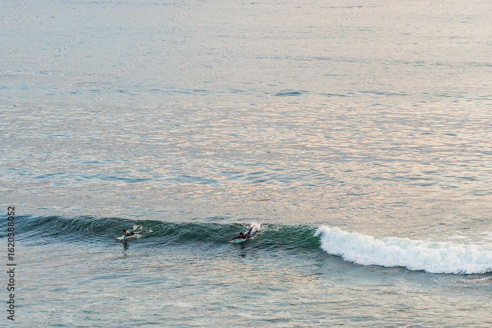 Obraz premium surfing the waves