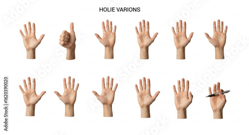 Hand gestures variations human hand anatomy open hand palm fingers pointing writing hand with pen illustration