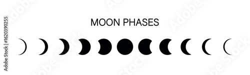 Moon phases. The whole cycle from new moon to full moon. Icon night space astronomy and nature moon phases, sphere shadow. Vector illustration