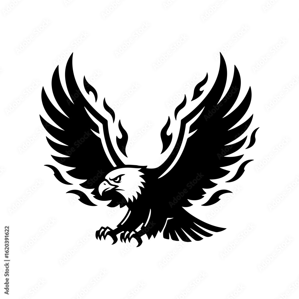 Fototapeta premium eagle with wings