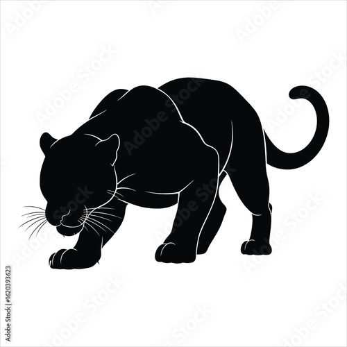Vector art of black panther stalking isolated on white background