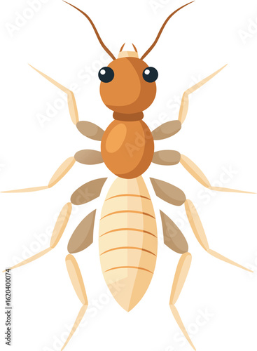 Illustration of a termite insect from above