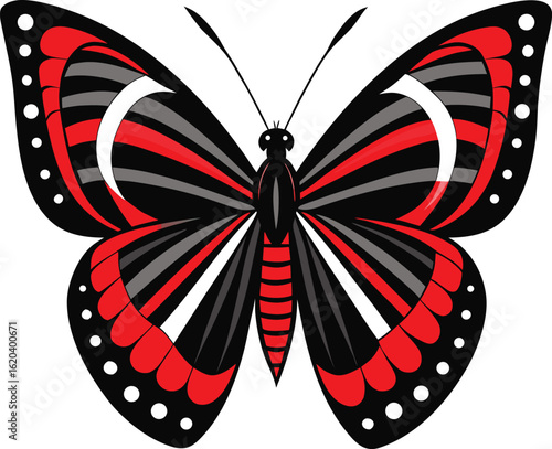 Striking red and black butterfly with crescent wing markings