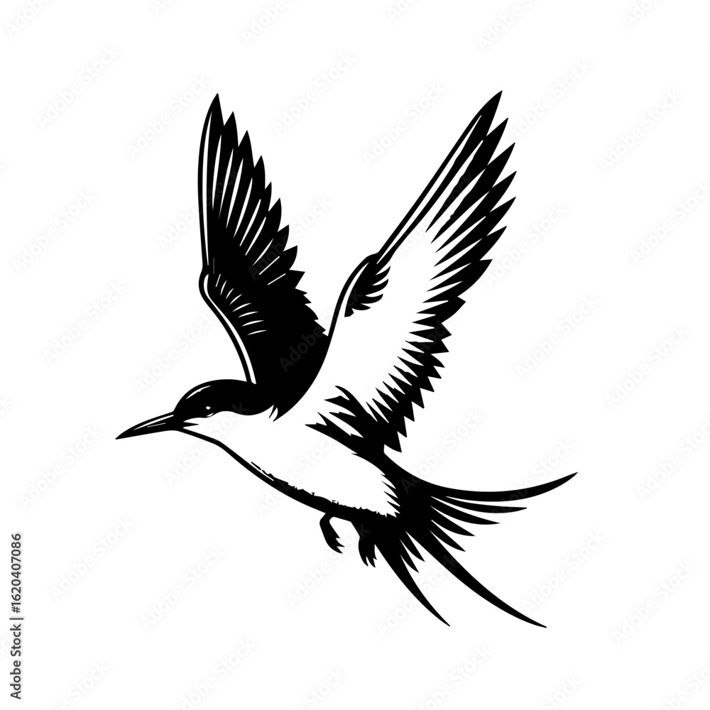 Obraz premium Elegant Black and White Bird in Flight.