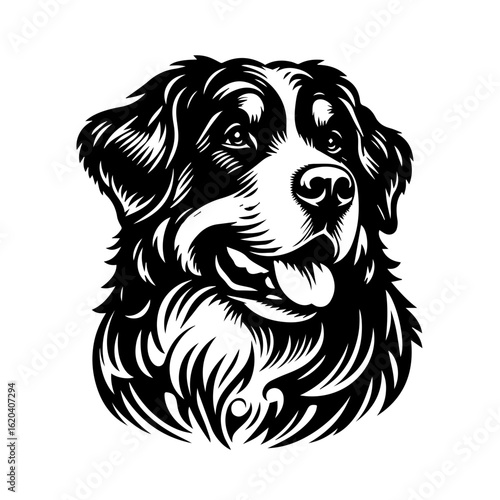 Majestic Bernese Mountain Dog Portrait.