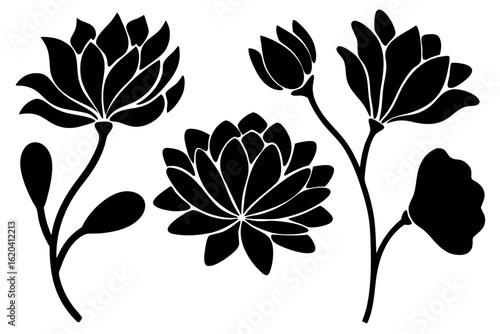 Three elegant lotus flowers blossom in dark monochrome silhouette against transparent background