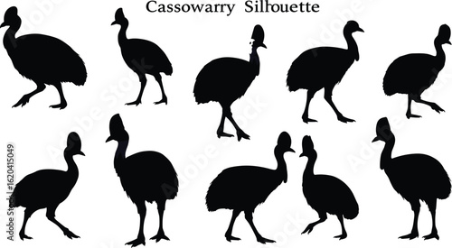 Cassowary bird silhouette vector, wild animal clipart, exotic flightless bird design, tropical bird pose graphic, black cassowary shapes, Australian bird illustration