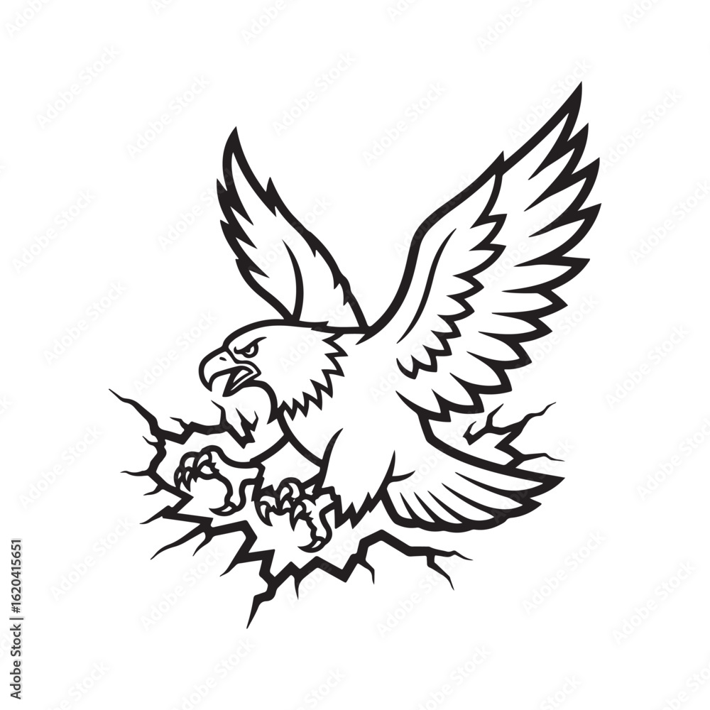 Obraz premium eagle with wings