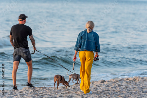 Fototapeta Naklejka Na Ścianę i Meble -  A couple walks along the sandy shore of the Baltic Sea with two dogs on leashes, enjoying a peaceful seaside moment together.