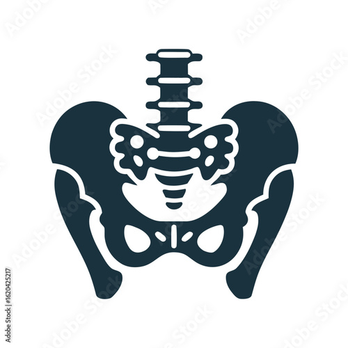 Dark blue human pelvis and spine icon on white background anatomy skeleton 1