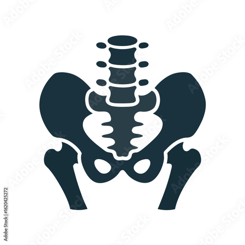 Dark blue human pelvis and spine icon on white background anatomy skeleton