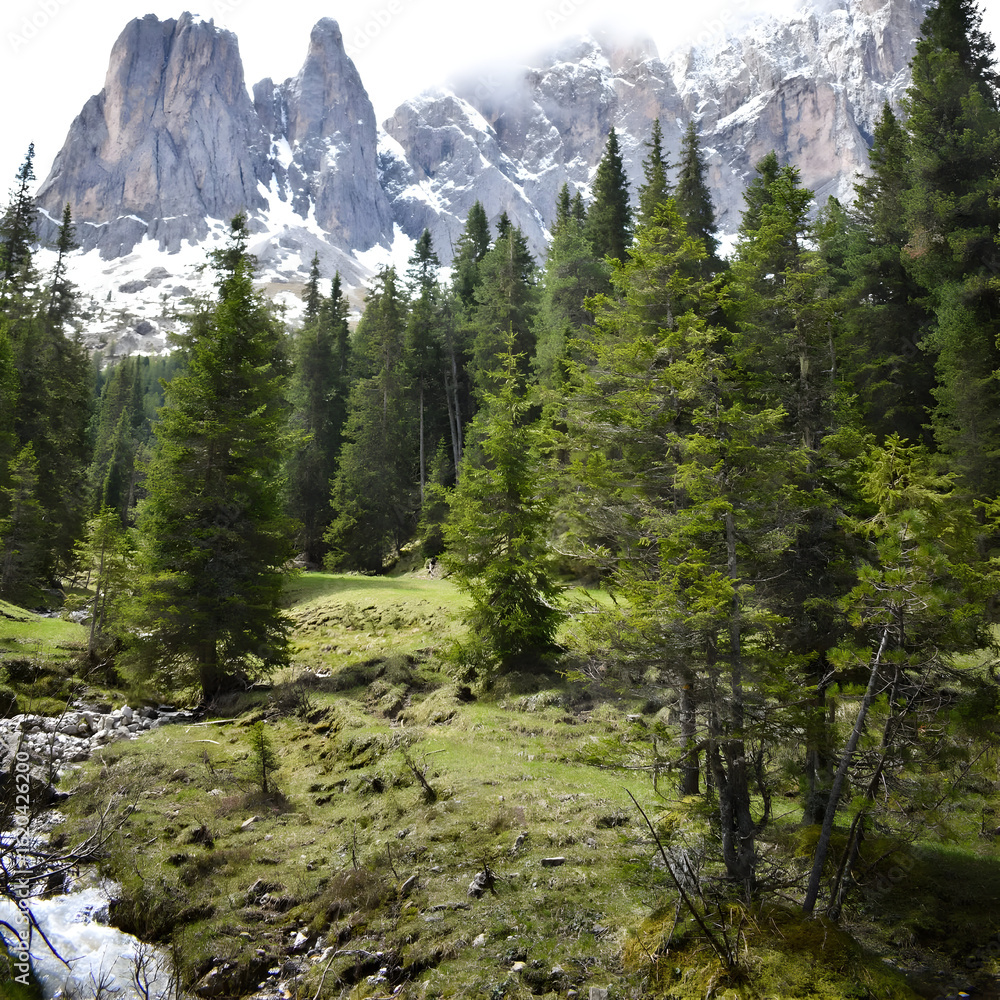 Obraz premium yosemite national park