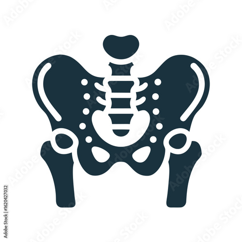 Dark blue human pelvis and spine icon on white background skeleton bone