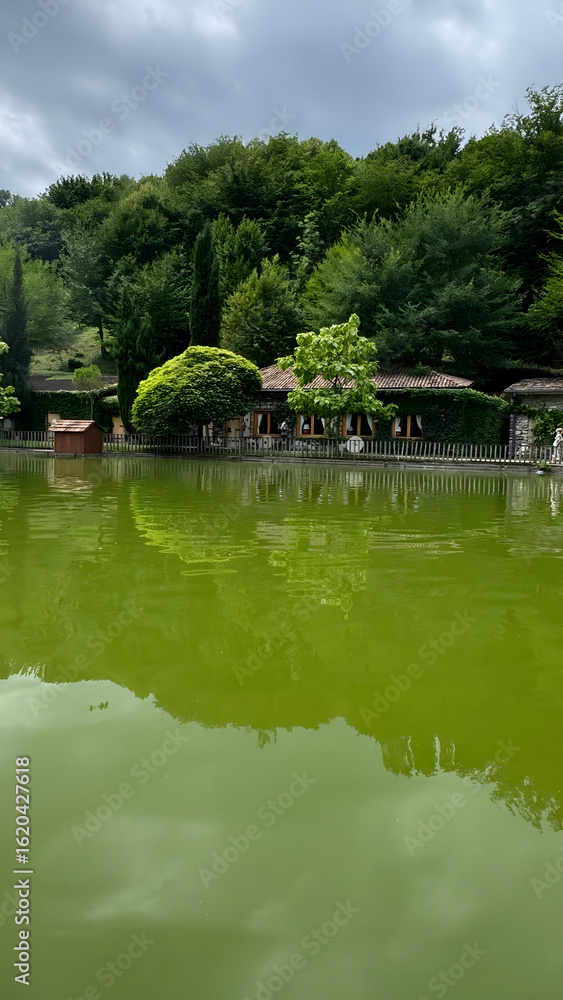 Fototapeta premium lake in the park
