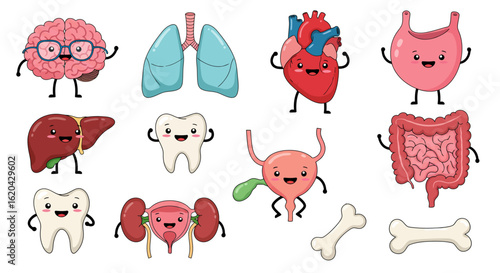 A Whimsical Collection of Cartoon Human Internal Organs and Body Parts Illustrated with Friendly Faces and Lively Poses for Educational and Medical Purposes