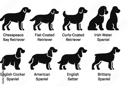 Dog breed silhouette icon set. labrador, spaniel, poodle icons