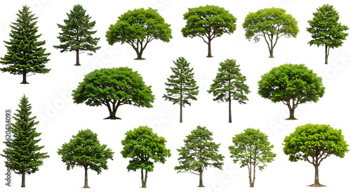 Collection of various green trees isolated on transparent background