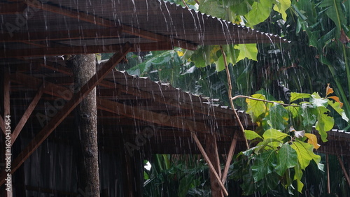 Heavy rain poured down, rainwater flowed from the roof of the house