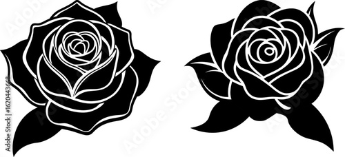 Black rose silhouette set, Set of rose silhouettes, Black rose silhouette collection, Vector of rose, rose silhouette, rose flower isolated on white background