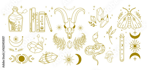 Mystic Boho Elements Collection in Line Art Style. Occult symbols crystals, goat skull, Wicca books, serpent, herbs, potion,moon phases, for tattoo, print, branding, posters, spiritual content. Vector
