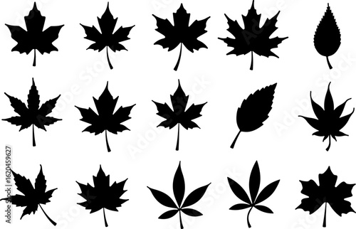Autumn leaves icons, silhouettes of various autumn