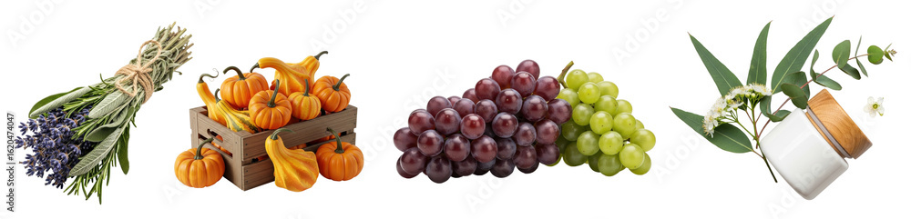 Lavender and rosemary bouquet, decorative gourds in a crate, red and green grapes, and eucalyptus cream Lavender and rosemary bouquet, decorative gourds in a crate, red and green grapes, and eucalyptus cream