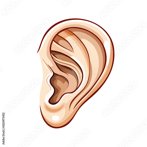 Human Ear Illustration Listening Organ Body Part Anatomy Auricle Sound Perception Hearing Aid Otology