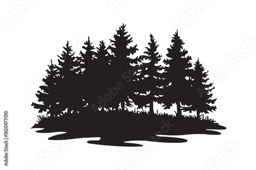 Dark silhouette of a dense pine forest with grassy ground