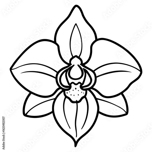Radiant Orchid Bloom – Vector Art Concept