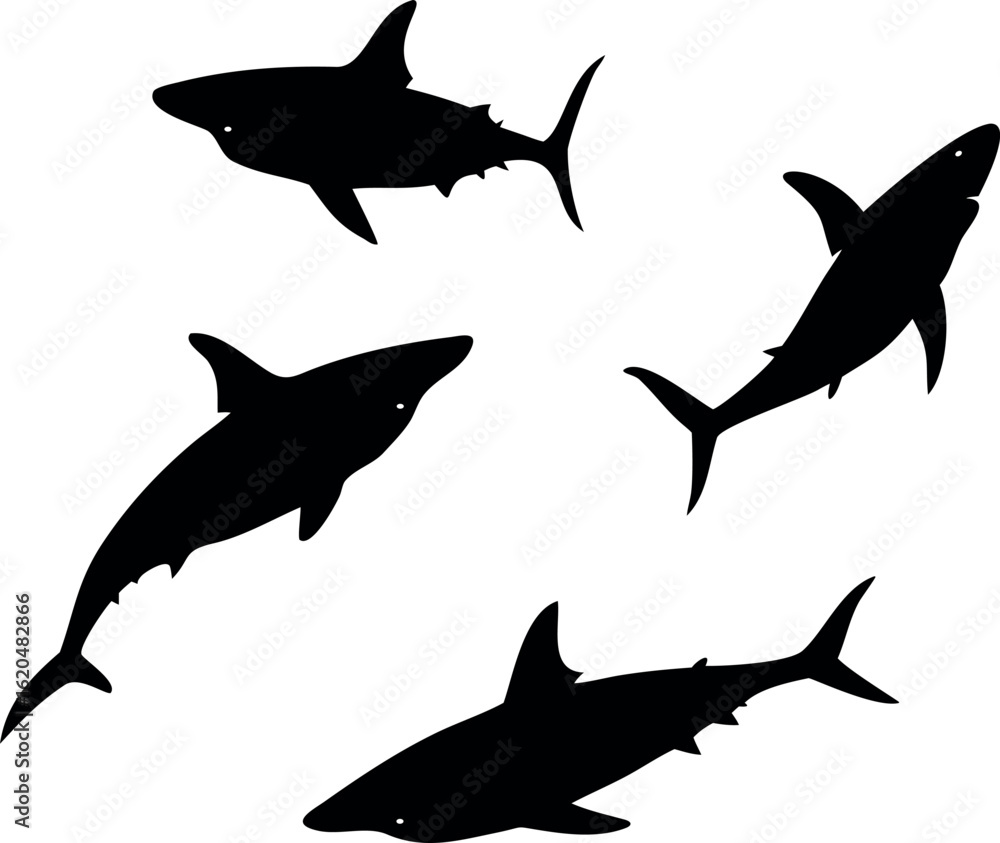 Fototapeta premium sharks vector silhouettes