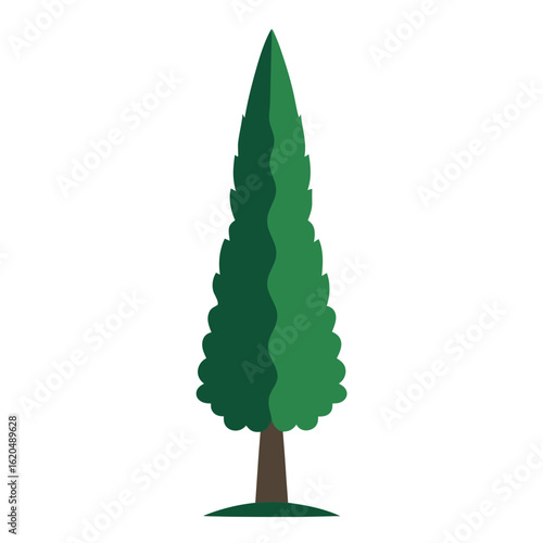 vector of a cypress tree