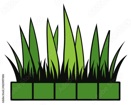 Green grass growing in a planter box silhouette