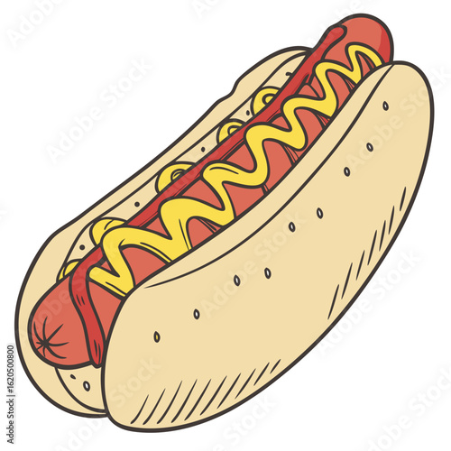 hot dog vector illustration
